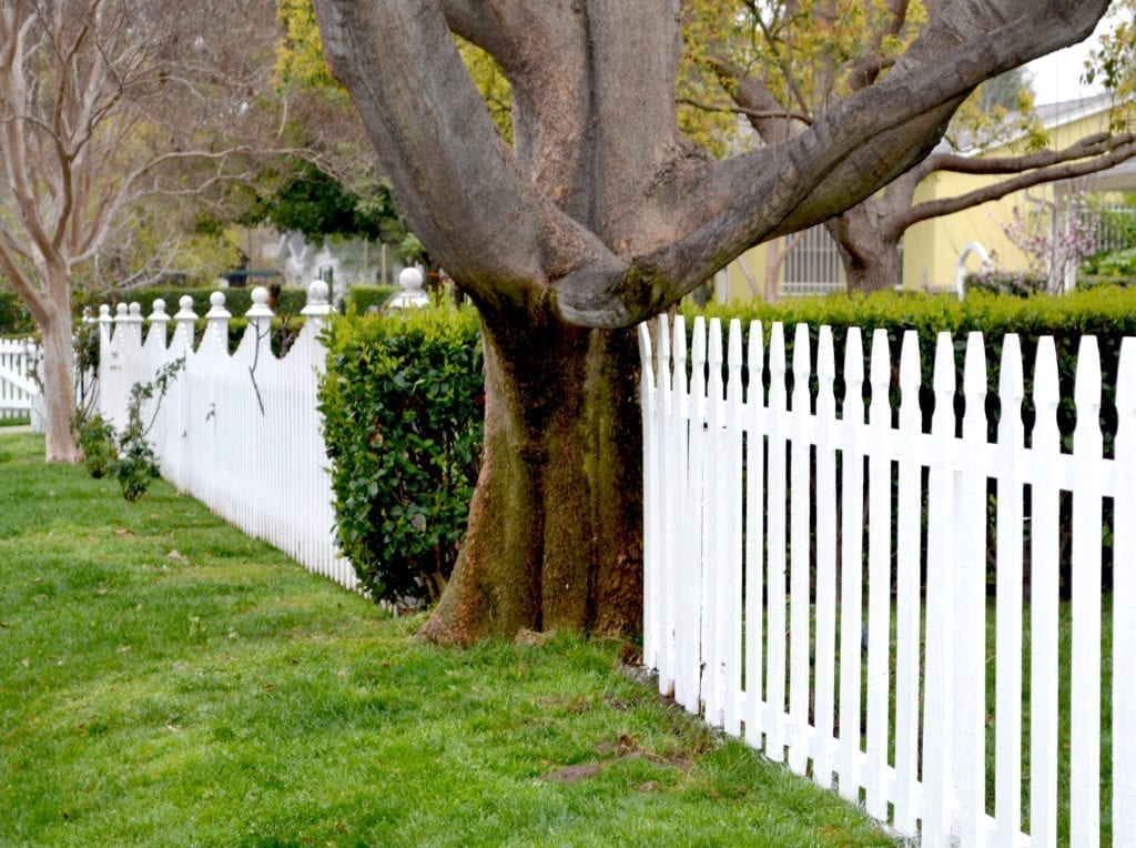 garden fencing ideas