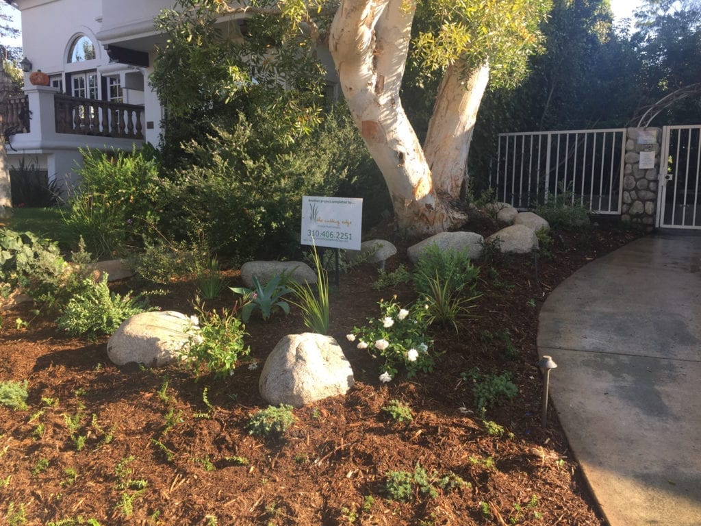 soil garden