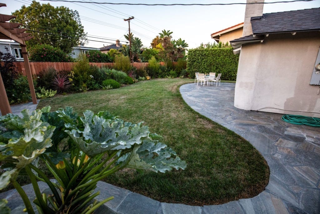 backyard farming