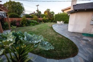 backyard farming