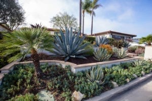 Redondo Beach, CA Low Water Landscaping