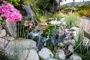 backyard zen garden