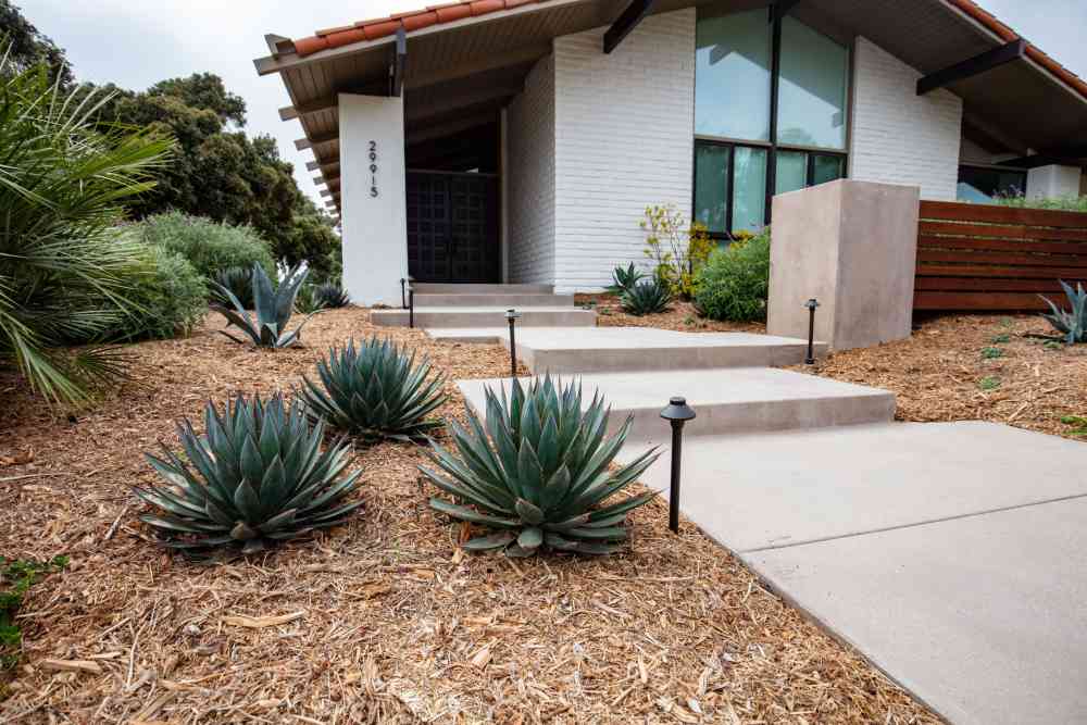 Drought tolerant plants in Southern California