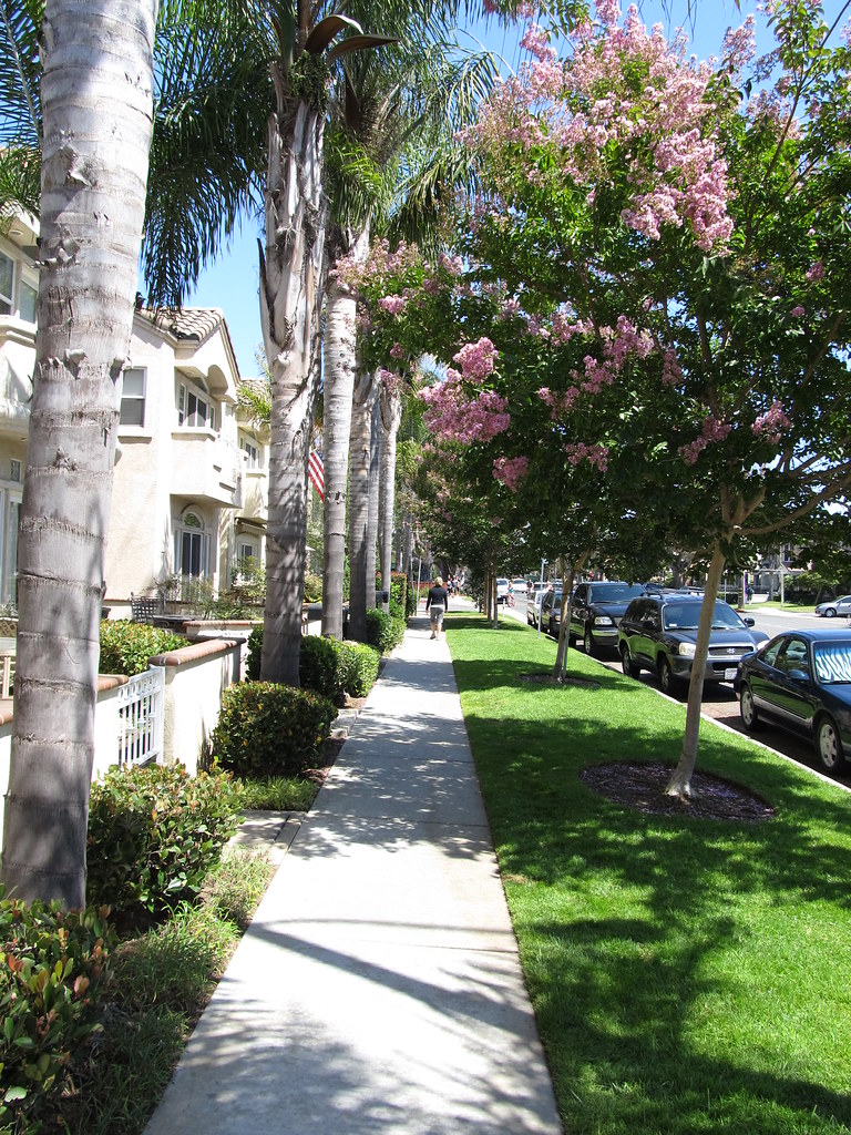 Seal Beach, California Commercial Landscaping Services