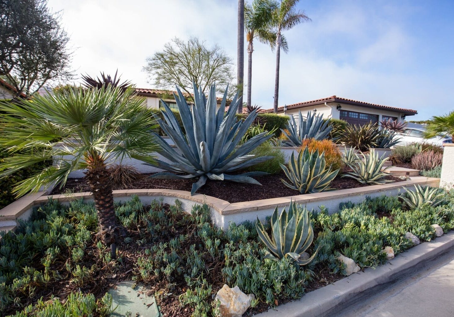 Redondo Beach, CA Low Water Landscaping